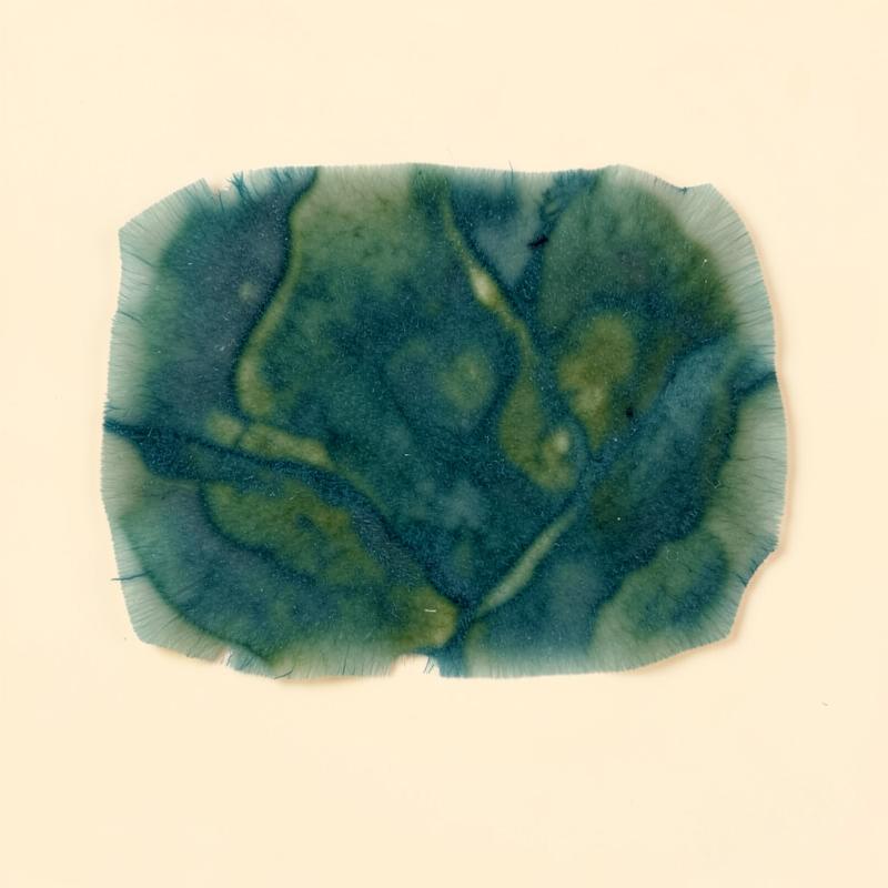 Seaweed material swatch